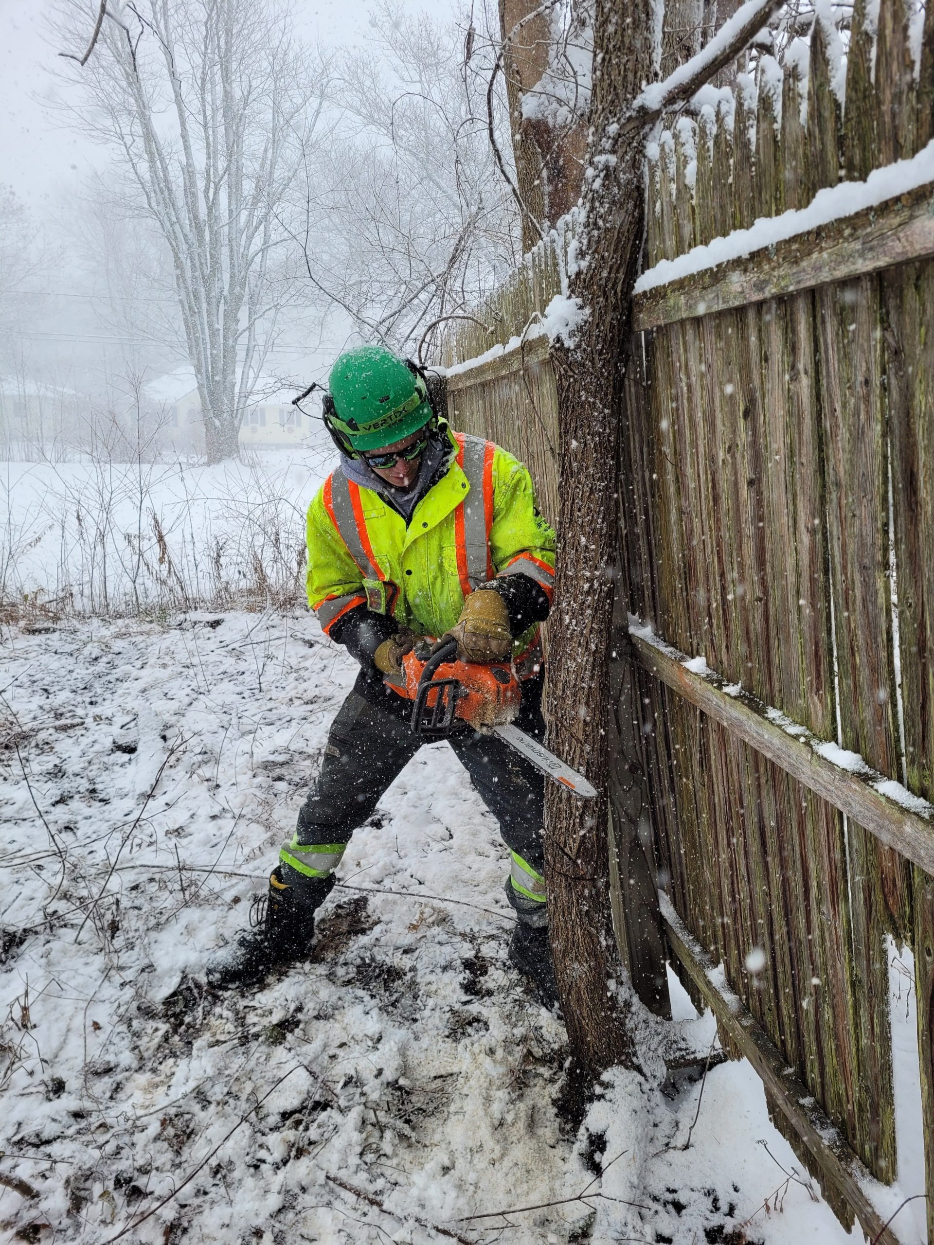 Construction site lot clearing with heavy machinery and felled trees.