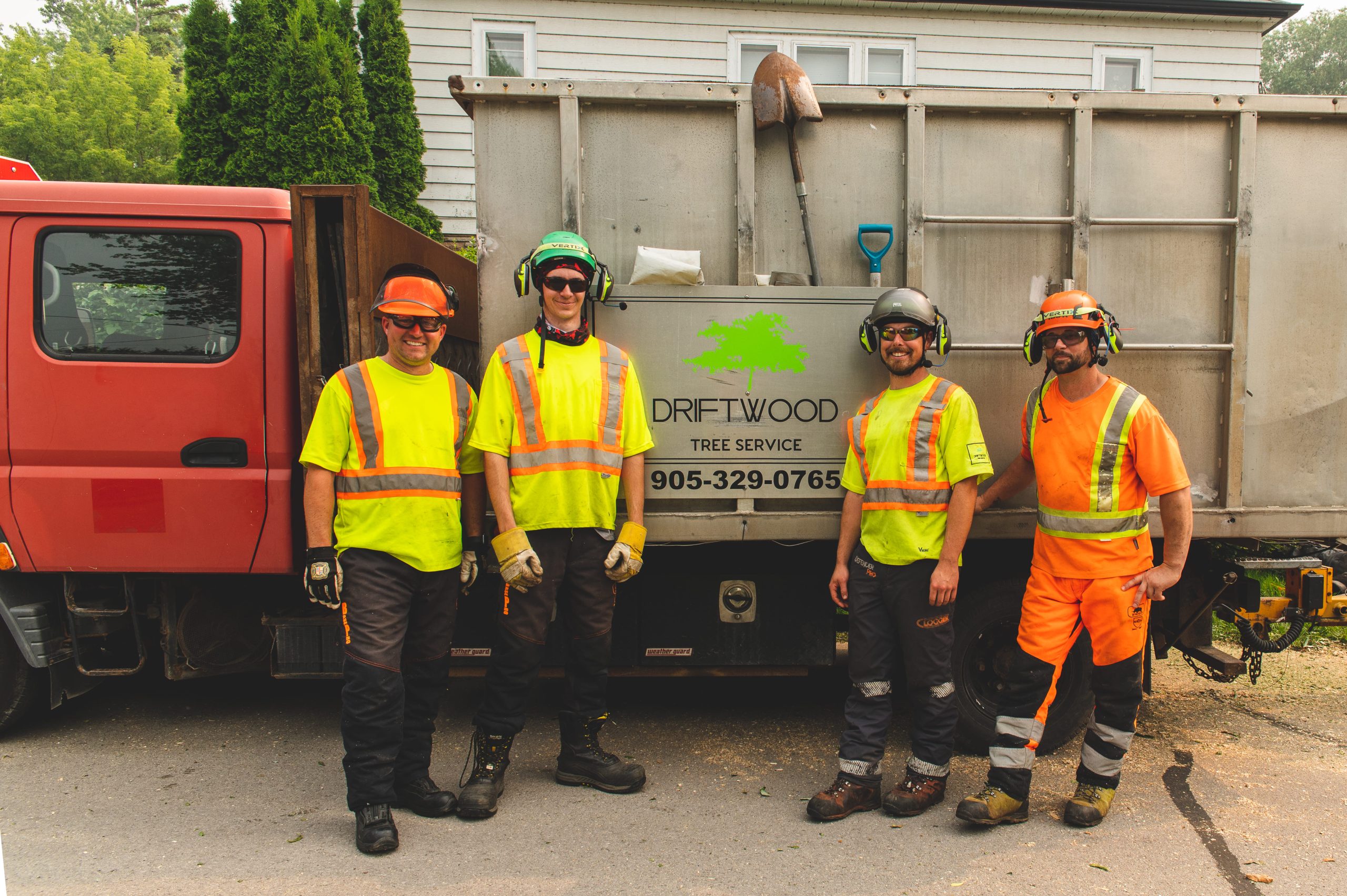 worker removing a large tree branch.