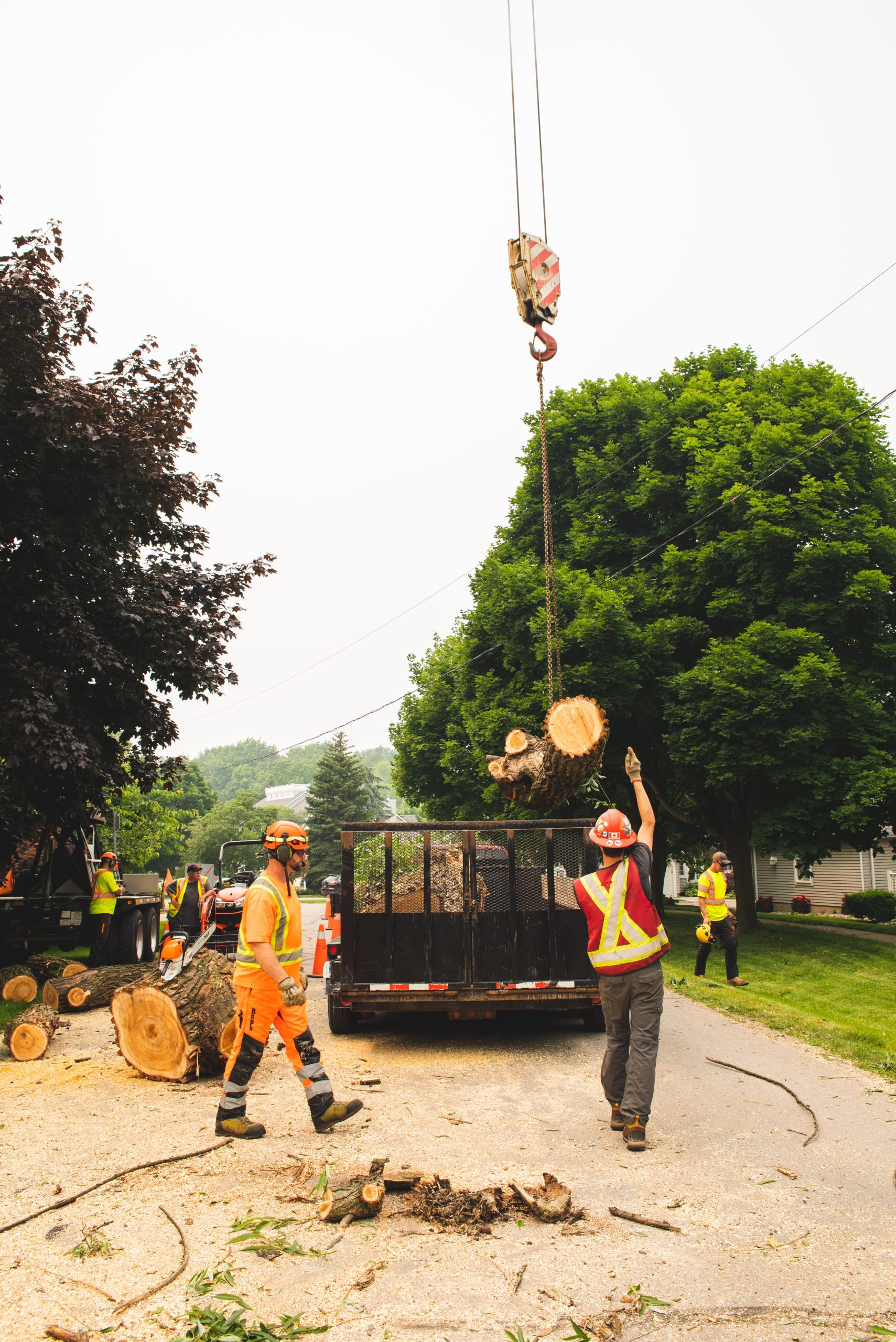 Crown Arborists green service truck parked on a residential street.