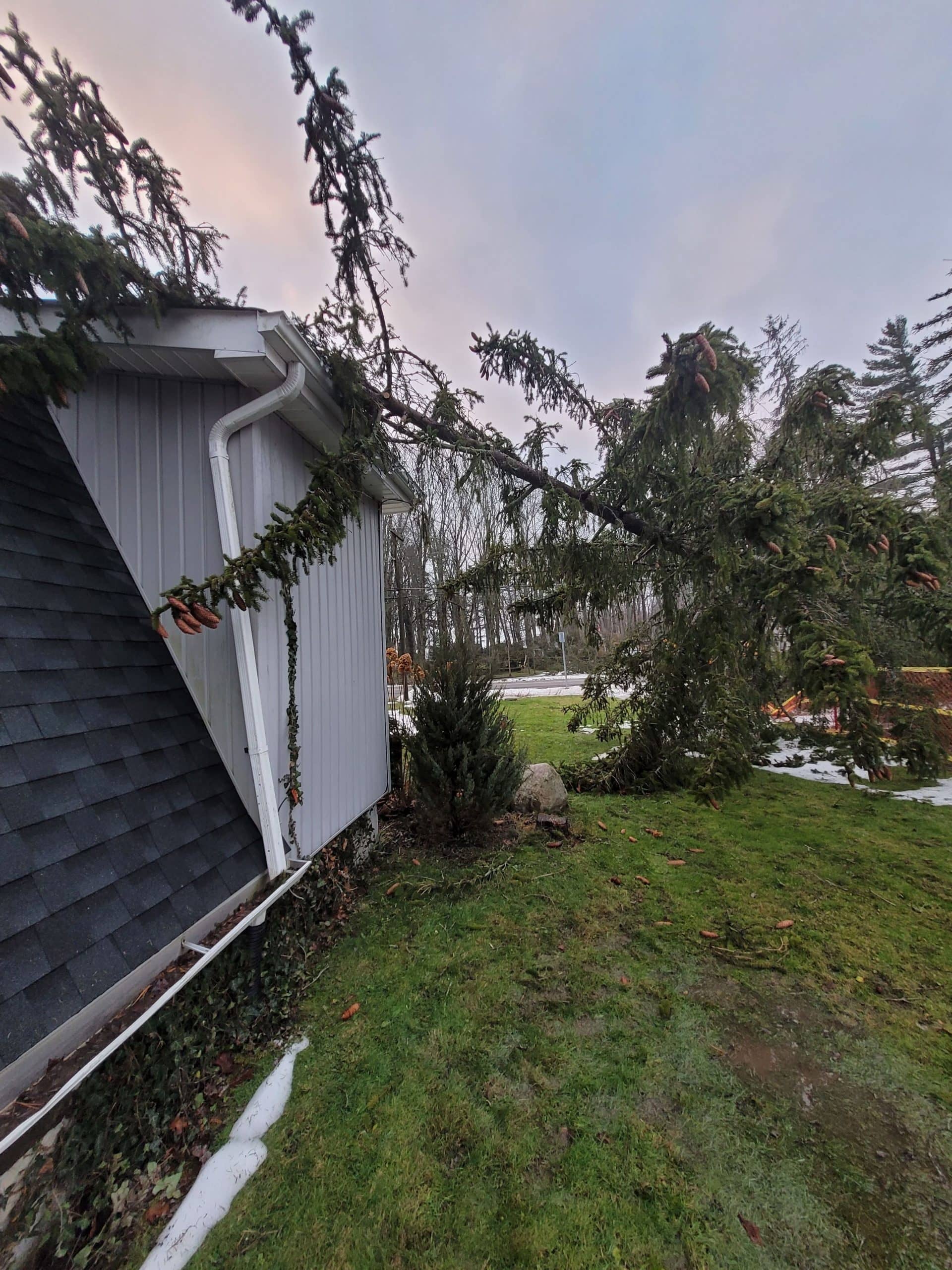 Weather Damage Call Our 247 Emergency Tree Service Niagara Falls